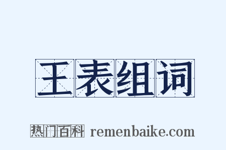 王表组词是什么意思的图片